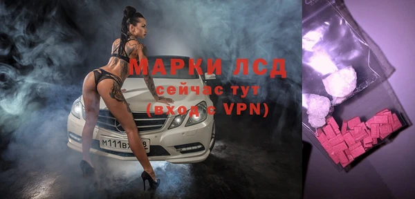 твердый Алзамай