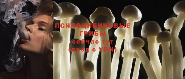 твердый Алзамай