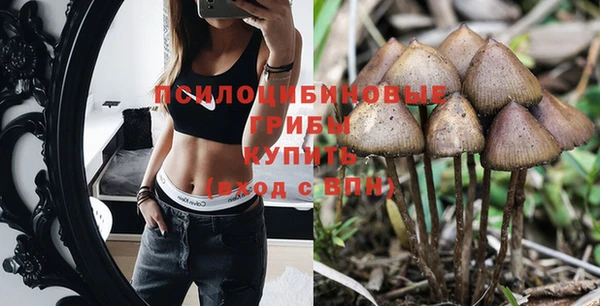 бошки Алексеевка